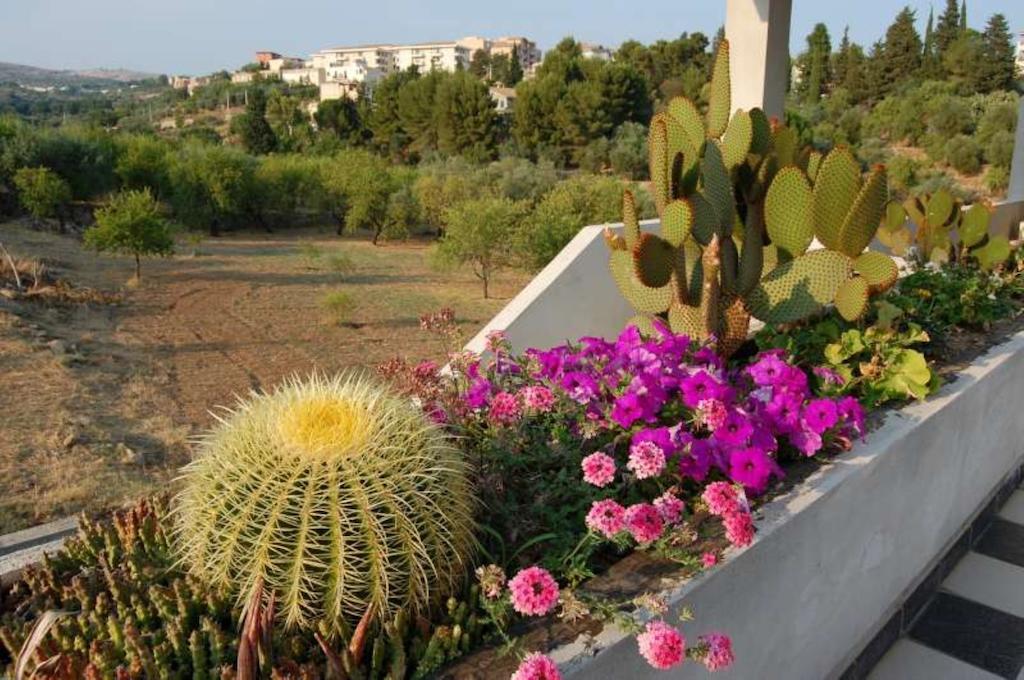 B&B Quattromulini Noto Extérieur photo